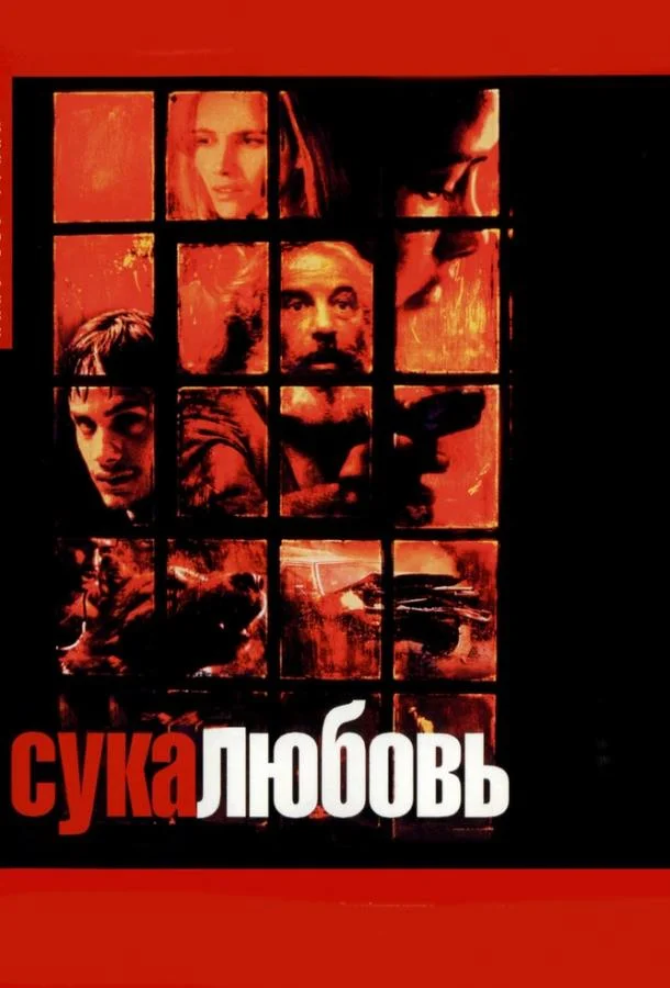 Сука-любовь смотреть онлайн бесплатно в хорошем качестве