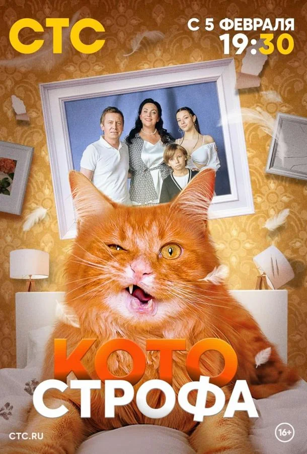 Котострофа смотреть онлайн бесплатно в хорошем качестве