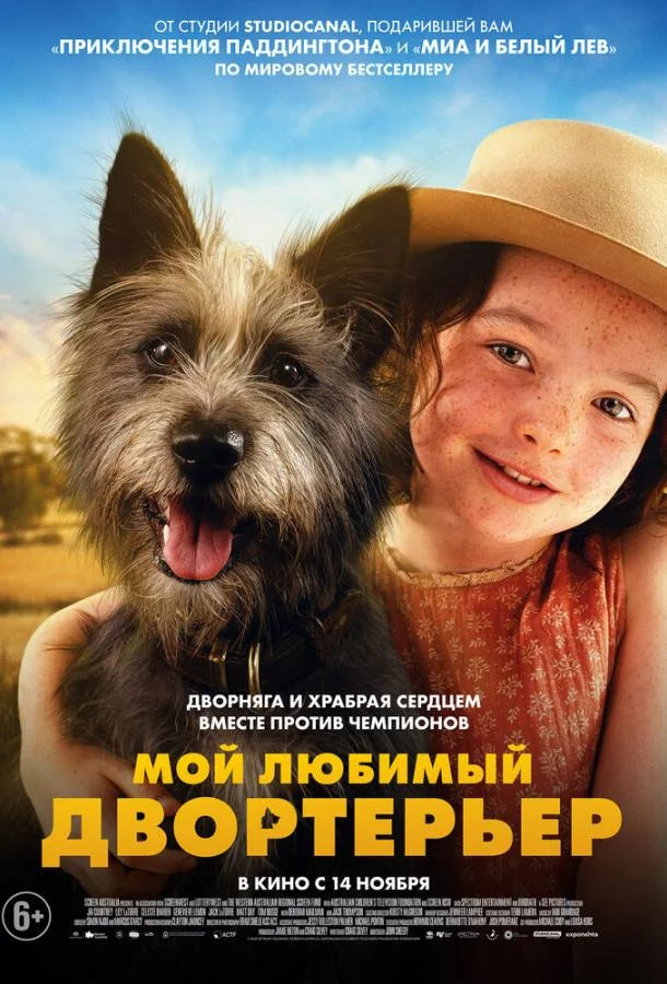 Мой любимый двортерьер смотреть онлайн бесплатно в хорошем качестве