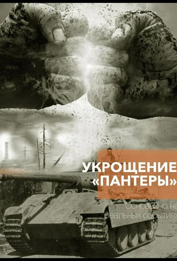 Укрощение «Пантеры» смотреть онлайн бесплатно в хорошем качестве