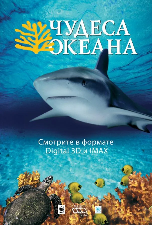 Чудеса океана 3D смотреть онлайн бесплатно в хорошем качестве