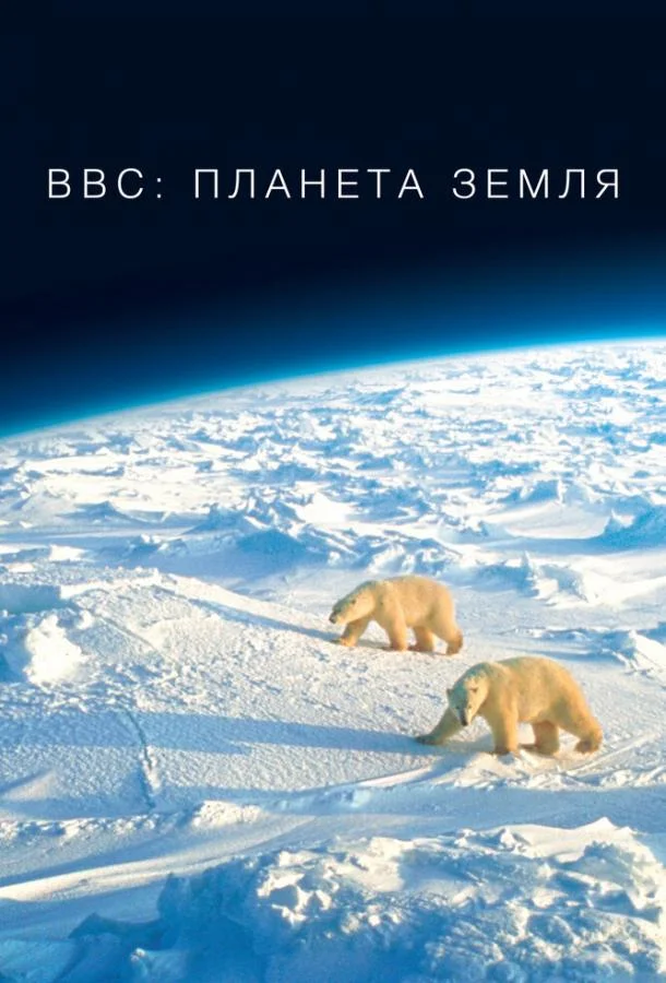 BBC: Планета Земля смотреть онлайн бесплатно в хорошем качестве